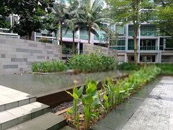 Botannia (D5), Condominium #456685791